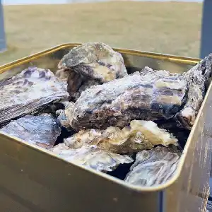 能登かき